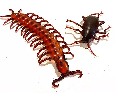 Buy Giant Cockroach Or Centipede Prop Insect Bug Halloween Decoration Horror Beetle • 12.99£