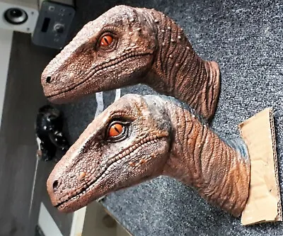 Buy Raptor Bust Jurassic Park Raptor Prop Brown Style...... L@@K • 49.99£