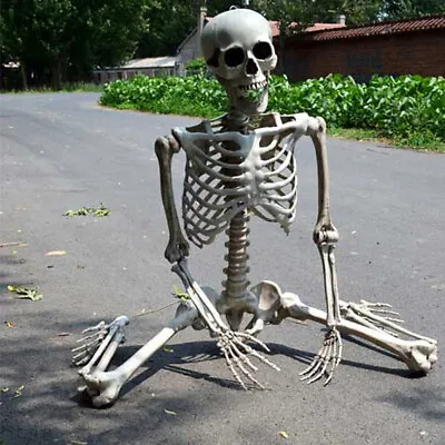 Buy Giant Full Life Size Human Skeleton Model Horror Bone Posable Halloween Decor • 27.95£