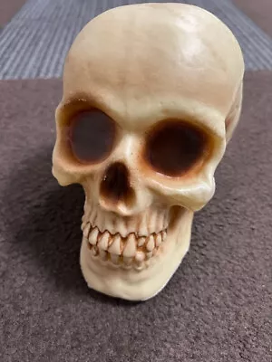 Buy Halloween Horror Life Size Skull Halloween Prop • 8.95£