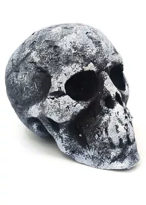 Buy Halloween Horror Lightweight Foam Small Skull Prop Approx 8.5cm Tall • 6.95£