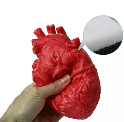 Buy Halloween Human Heart Prop Decorations Realistic Horror Size Party Decor • 4.55£