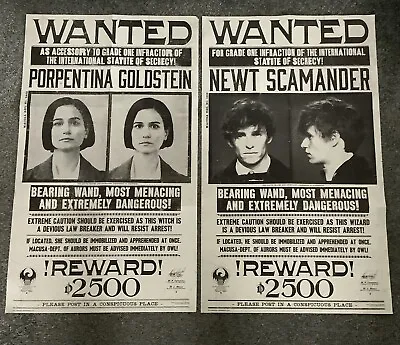 Buy Harry Potter, Hogwarts Wanted Posters X 2. Newt Scamander/Porpentina Goldstein • 3.95£