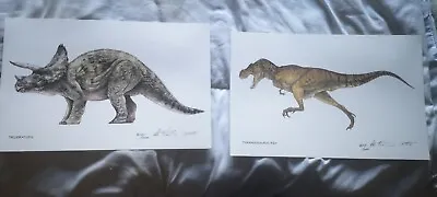 Buy The Jurassic Park CollectionLimited Edition Lithographs (Set Of 9 Dinosaurs) • 125£