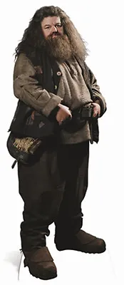 Buy Hagrid Harry Potter Hogwarts Fun Cardboard Cutout Stand Up Great For Parties • 39.99£