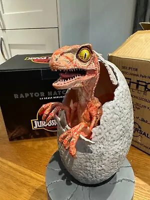 Buy Jurassic Park 1:1 Hatching Raptor Prop Replica Chronicle Collectibles Very Rare • 450£